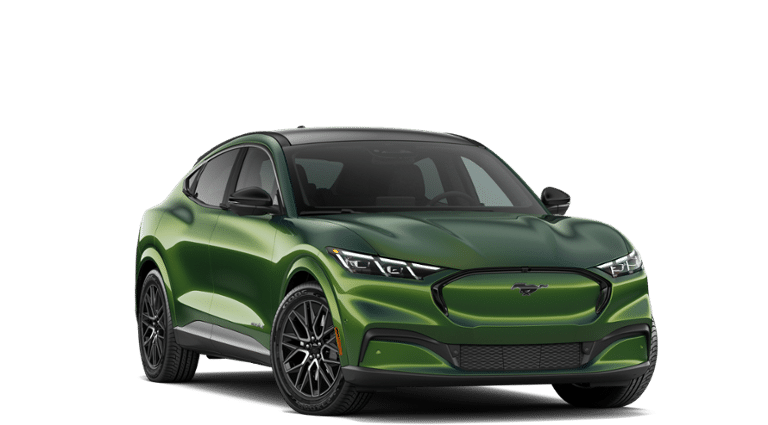 Mustang Mach-E® vehicle